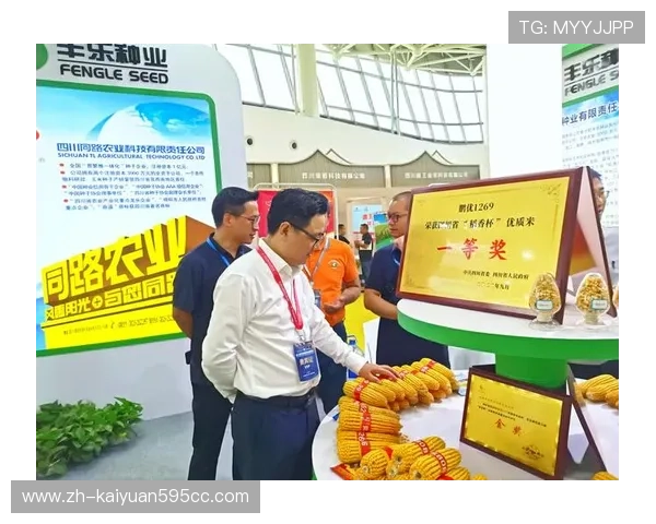 天9国际娱乐城安全保障措施,保障玩家资金与信息安全的全面策略 天9国际娱乐城安全保障措施,保障玩家资金与信息安全的全面策略